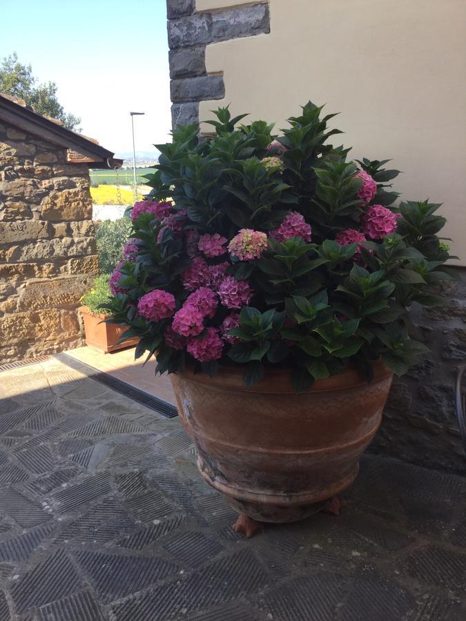 Agriturismo Borgo Tra Gli Olivi Castiglion Fiorentino Dış mekan fotoğraf