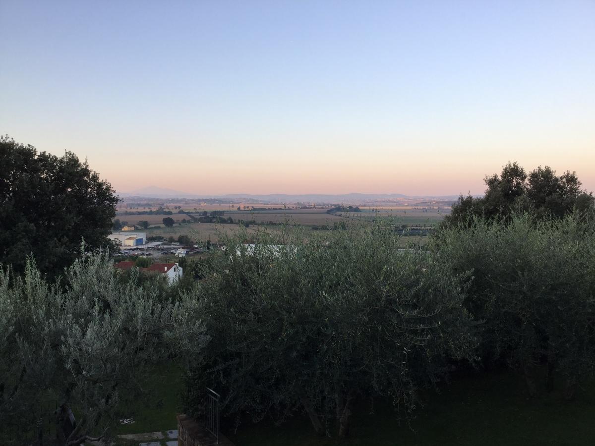 Agriturismo Borgo Tra Gli Olivi Castiglion Fiorentino Dış mekan fotoğraf
