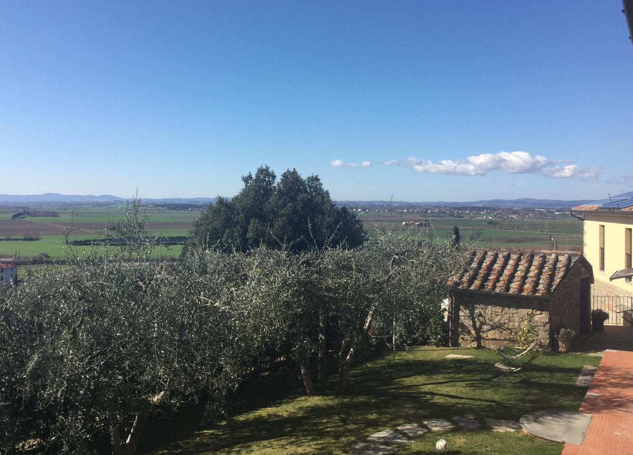Agriturismo Borgo Tra Gli Olivi Castiglion Fiorentino Dış mekan fotoğraf