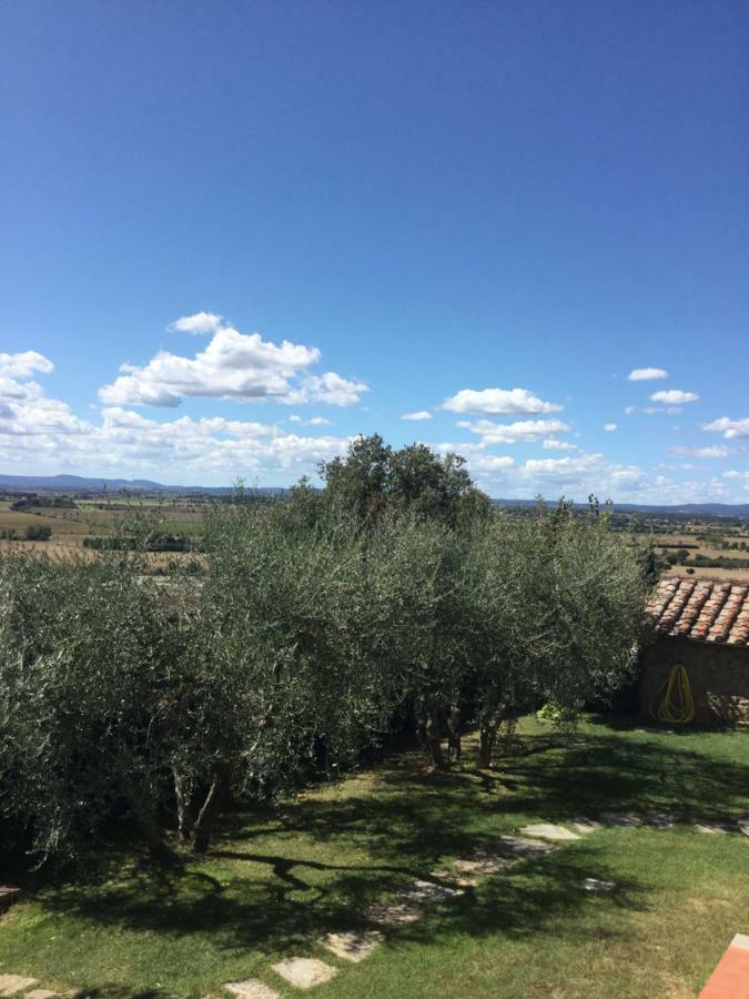 Agriturismo Borgo Tra Gli Olivi Castiglion Fiorentino Dış mekan fotoğraf